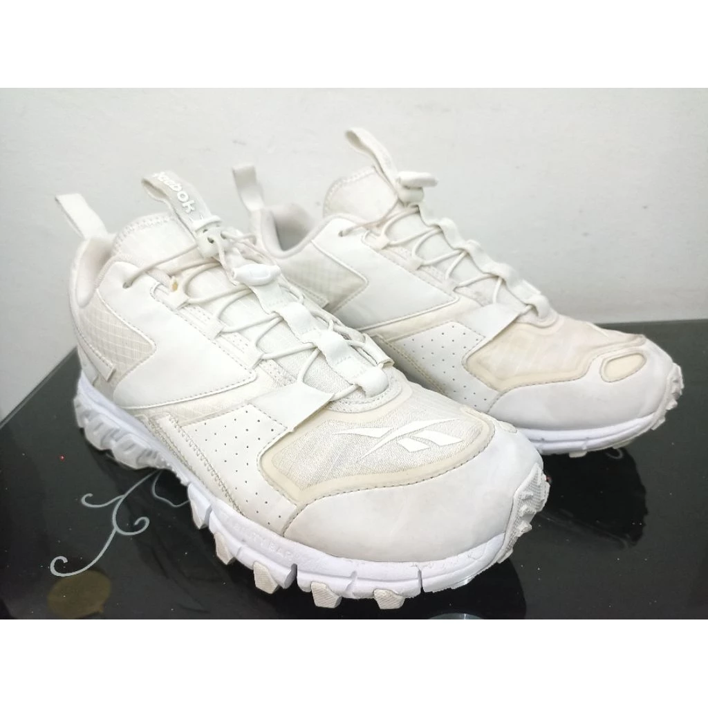 Reebok DMX
